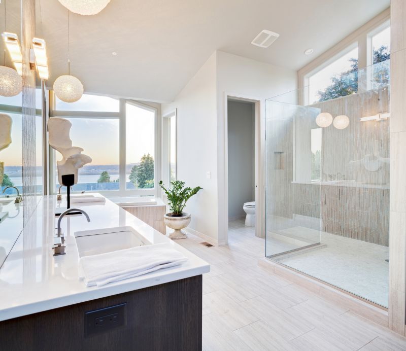 Contemporary walk-in shower
